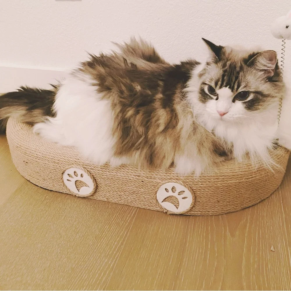 Oval Sisal Cat Scratcher Bed, 24x15 Inch for Big Cats with Spring Teaser Cat Toy